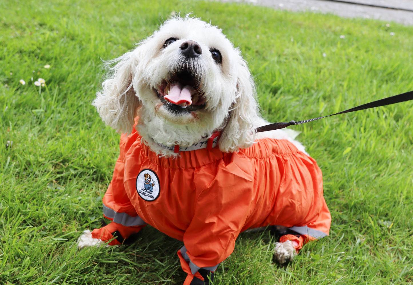 Doggodaks Trousers & Carrier Bag