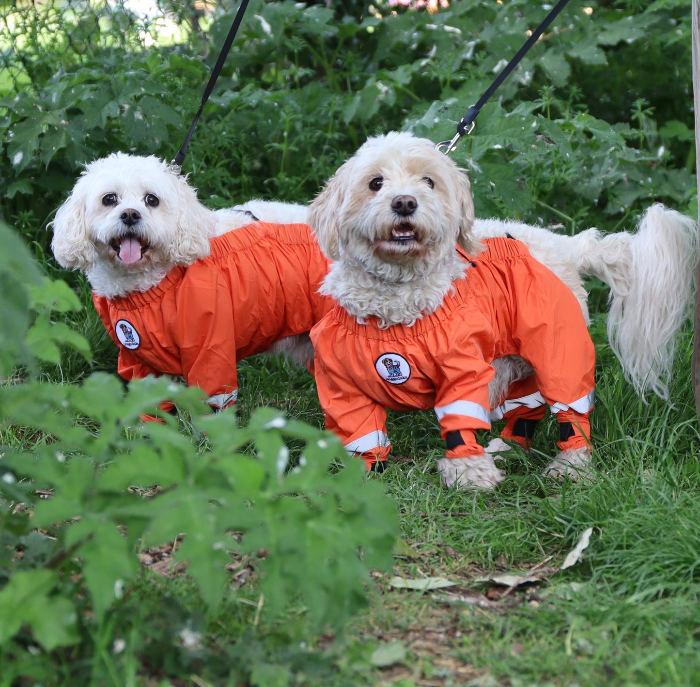Doggodaks Trousers & Carrier Bag